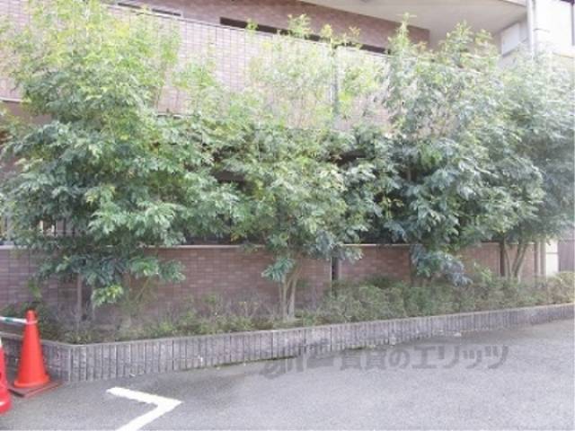 植栽