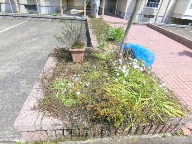 植栽