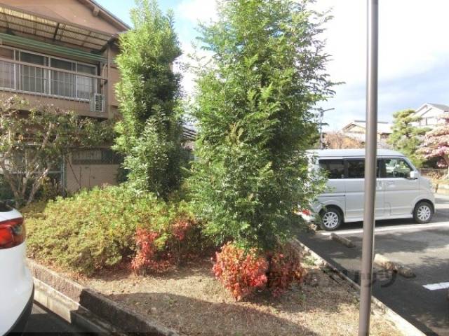 植栽