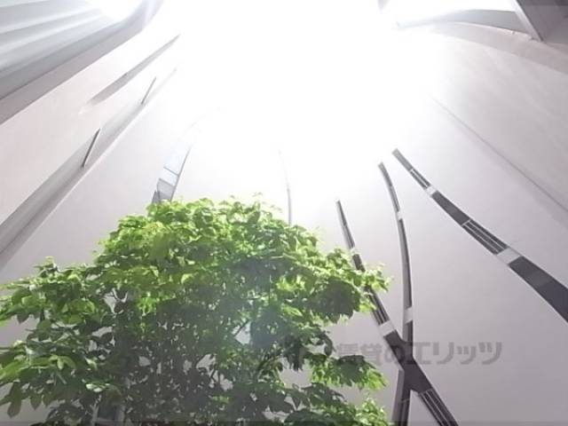 中庭　光が入ってきます。