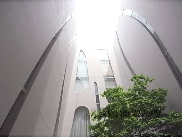 中庭　光が入ってきます。