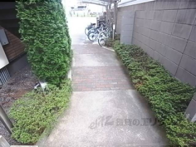 植栽