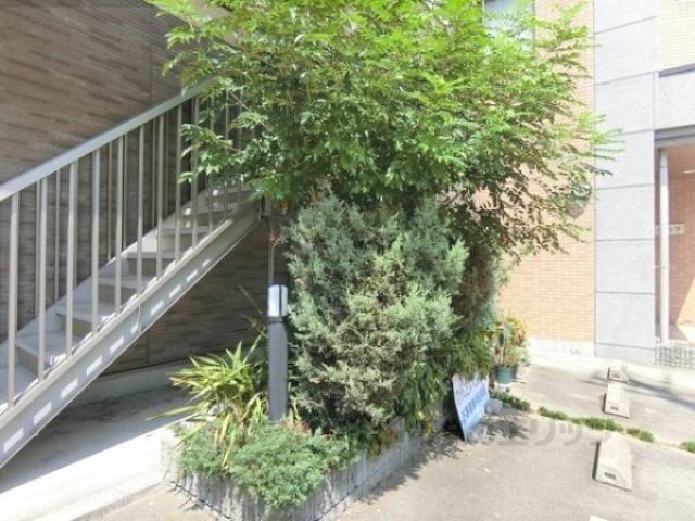 植栽