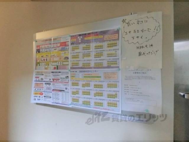 掲示板