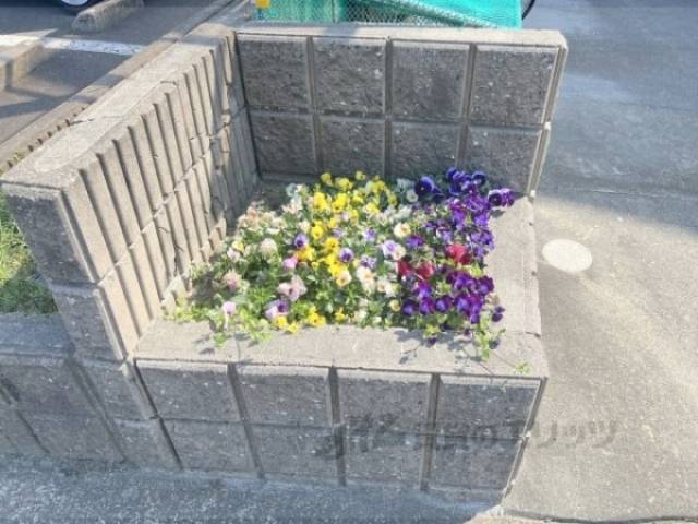 植栽