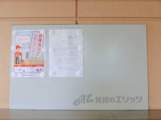 掲示板