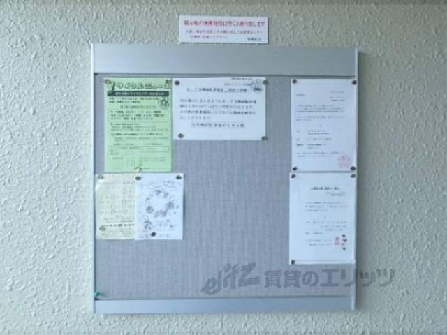 掲示板