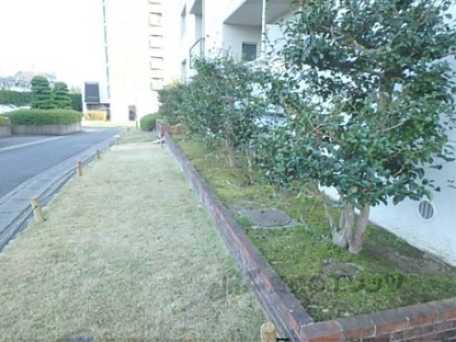 植栽