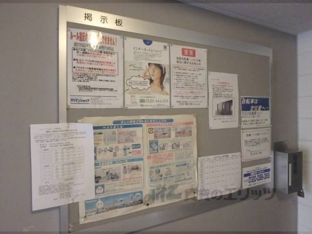 掲示板