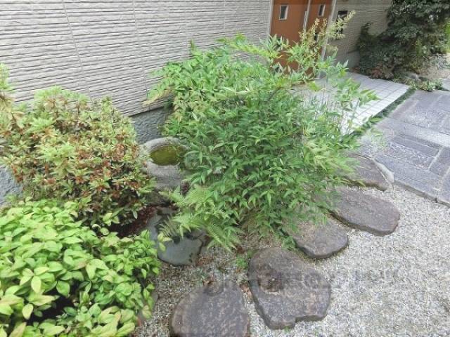植栽