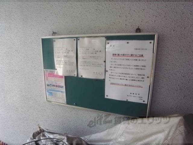 掲示板