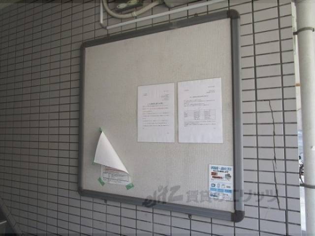 掲示板
