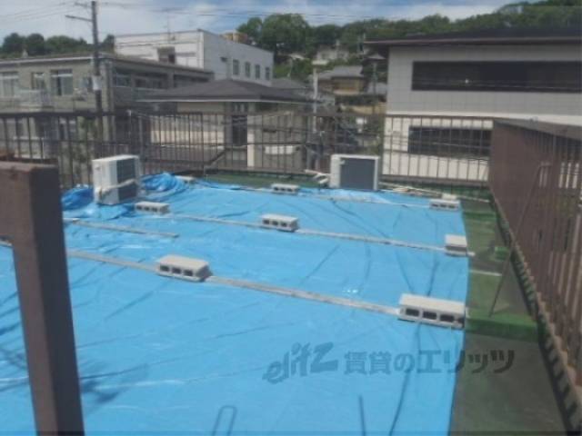 屋上