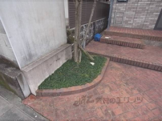 植栽