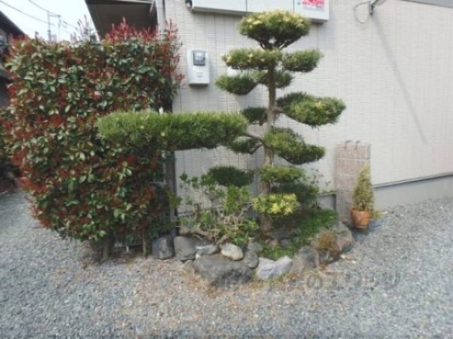 植栽