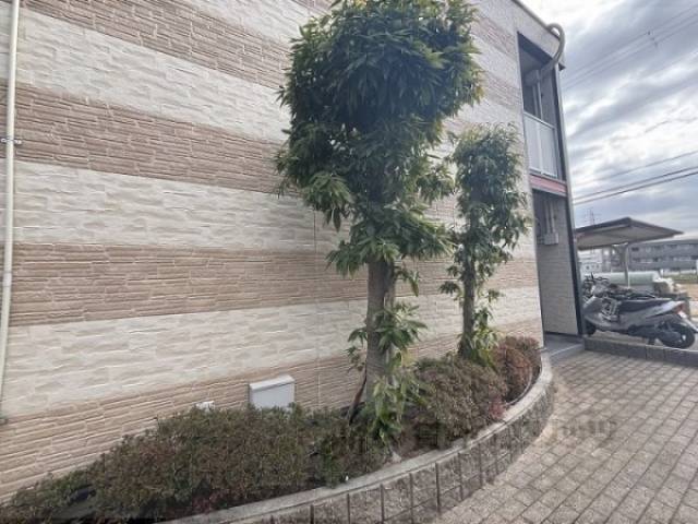 植栽
