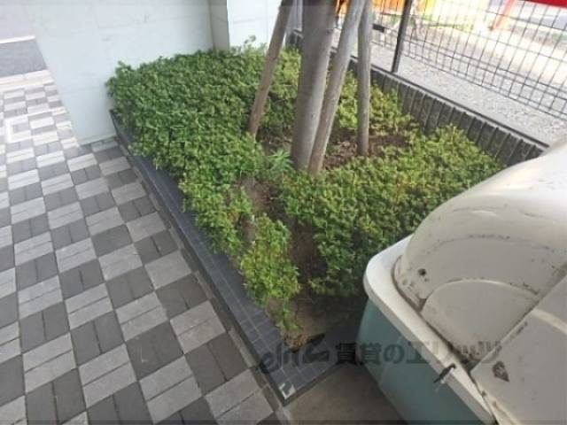 植栽