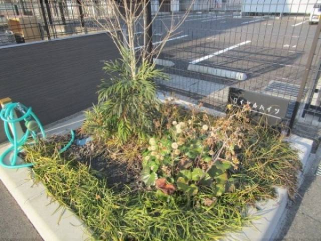 植栽