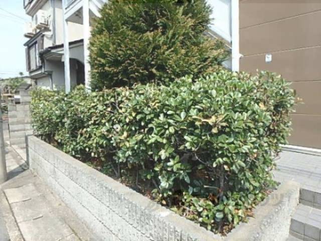 植栽