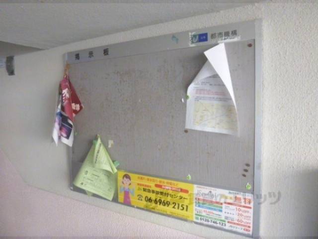掲示板