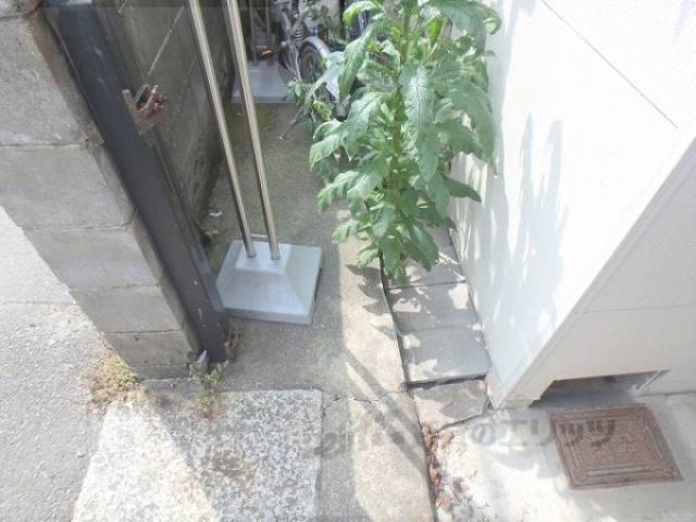 植栽