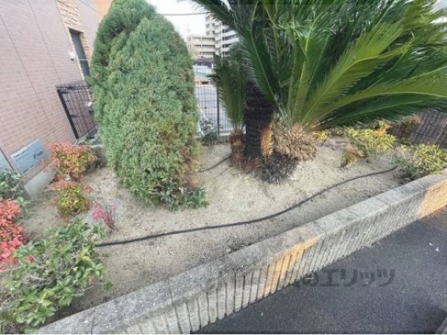 植栽