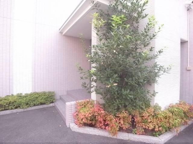 植栽