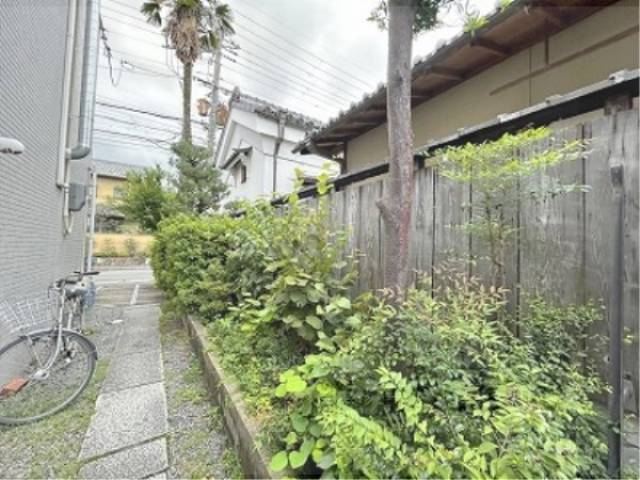 植栽
