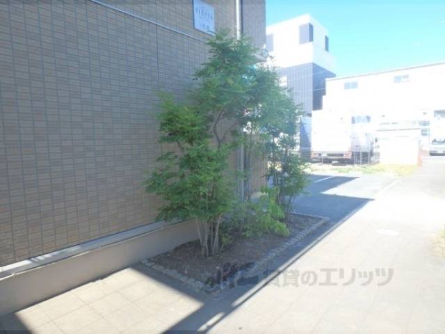 植栽