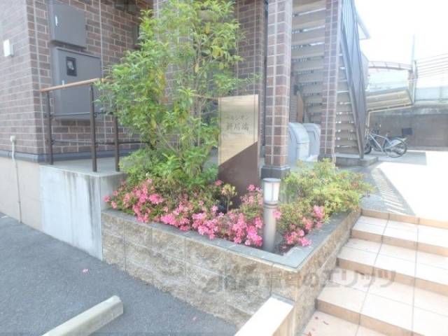 植栽