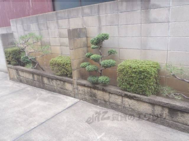 植栽