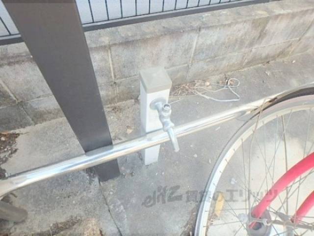 蛇口