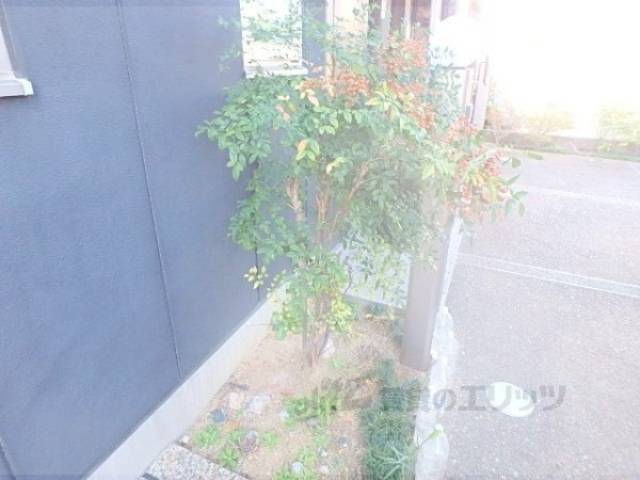 植栽