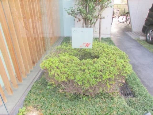 植栽