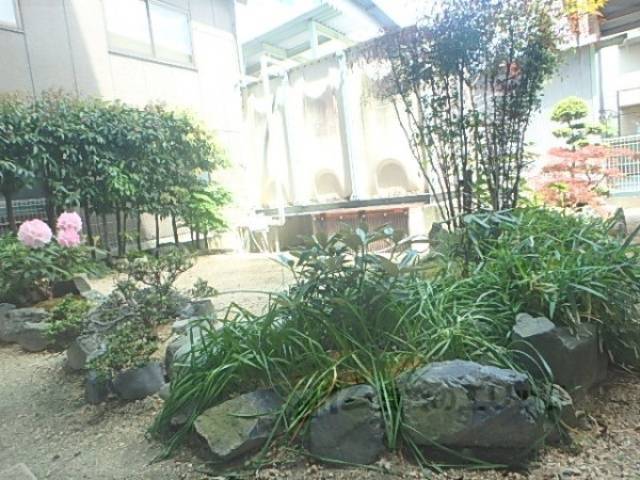 植栽