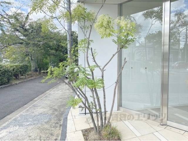 植栽
