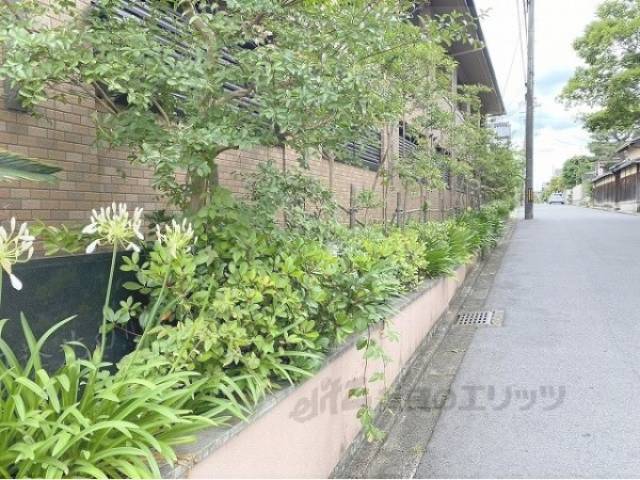 植栽
