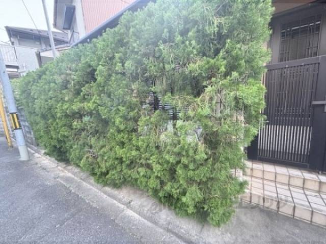 植栽