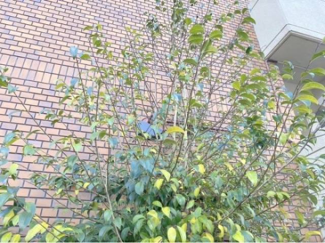 防犯カメラ