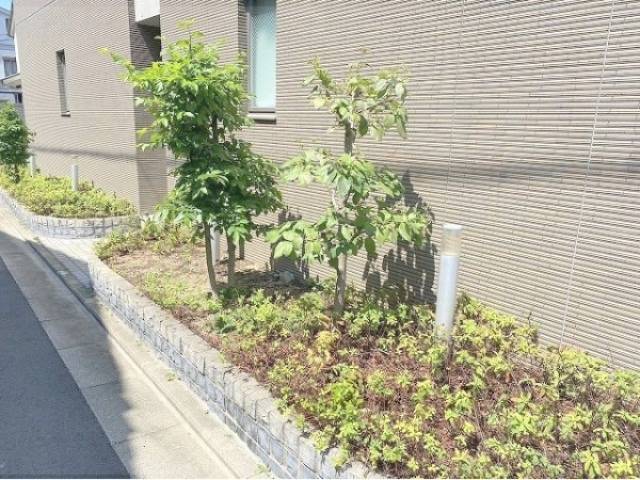 植栽