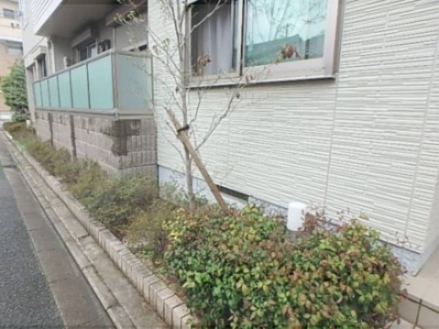 植栽