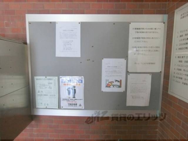 掲示板