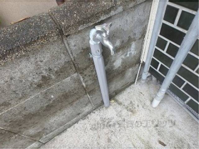 蛇口