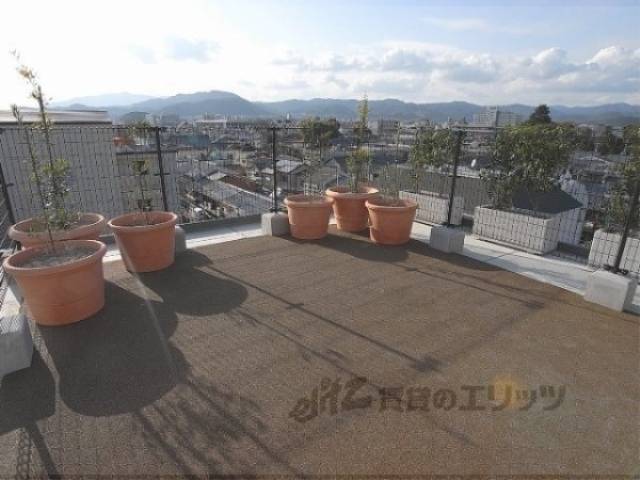 屋上