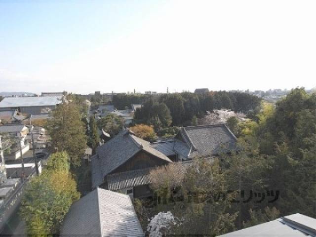 屋上