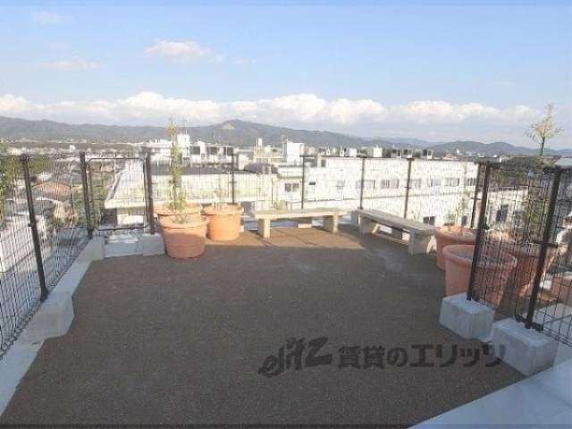 屋上