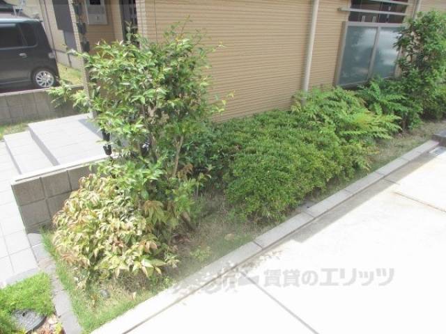 植栽