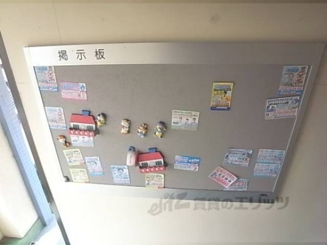 掲示板