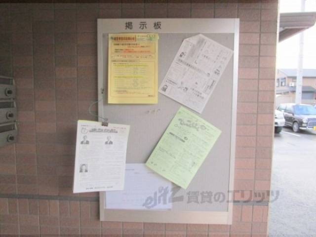 掲示板