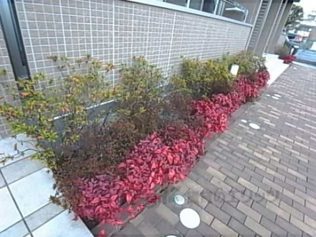 植栽